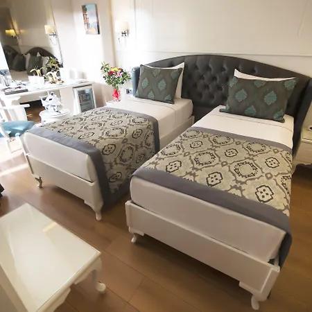 酒店 安图萨潘丽思spa酒店 伊斯坦布尔