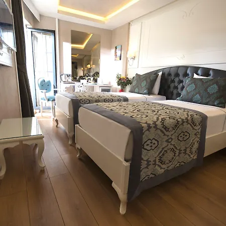 安图萨潘丽思spa酒店 4*