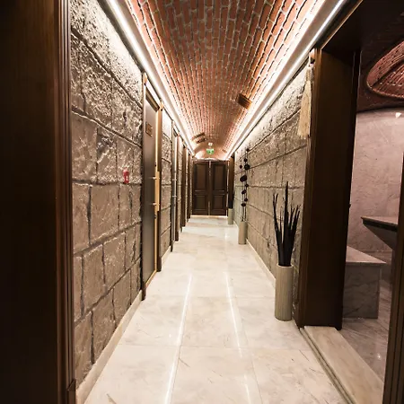 安图萨潘丽思spa酒店