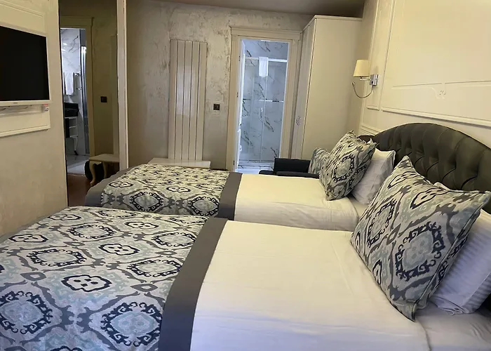 Antusa Palace & Отель Стамбул