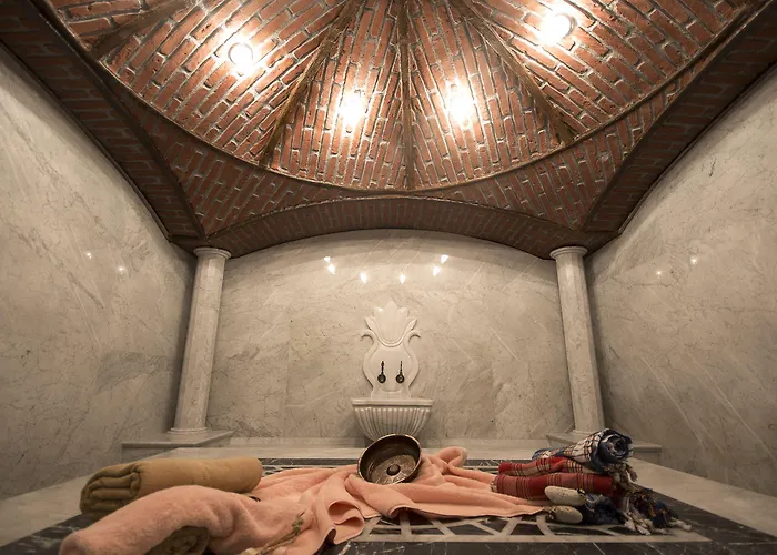 Antusa Palace & Стамбул